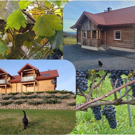 Fantastic View Vineyard Beskid Mountains Gruszow  Kültér fotó
