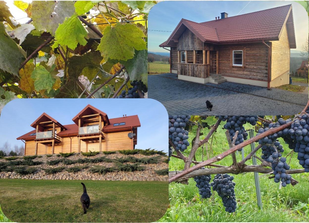 Fantastic View Vineyard Beskid Mountains Gruszow  Kültér fotó