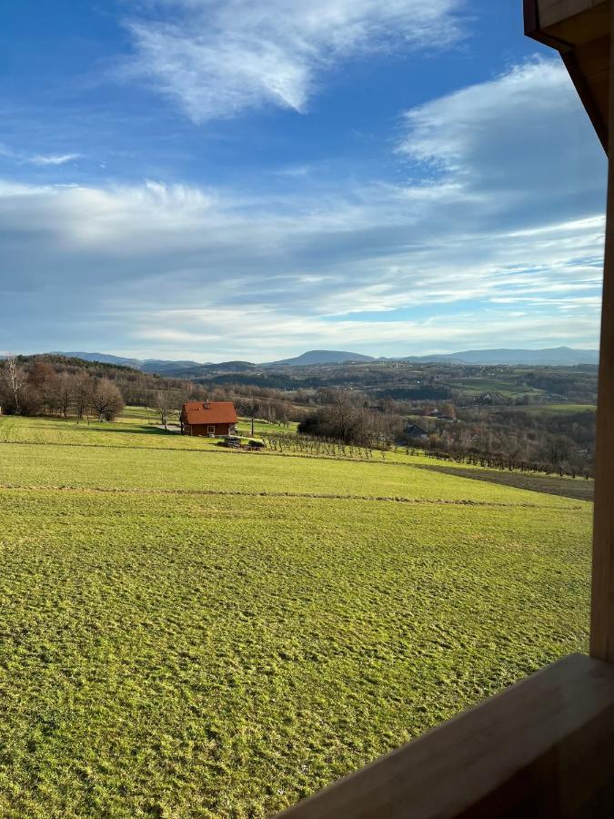 Fantastic View Vineyard Beskid Mountains Gruszow  Kültér fotó