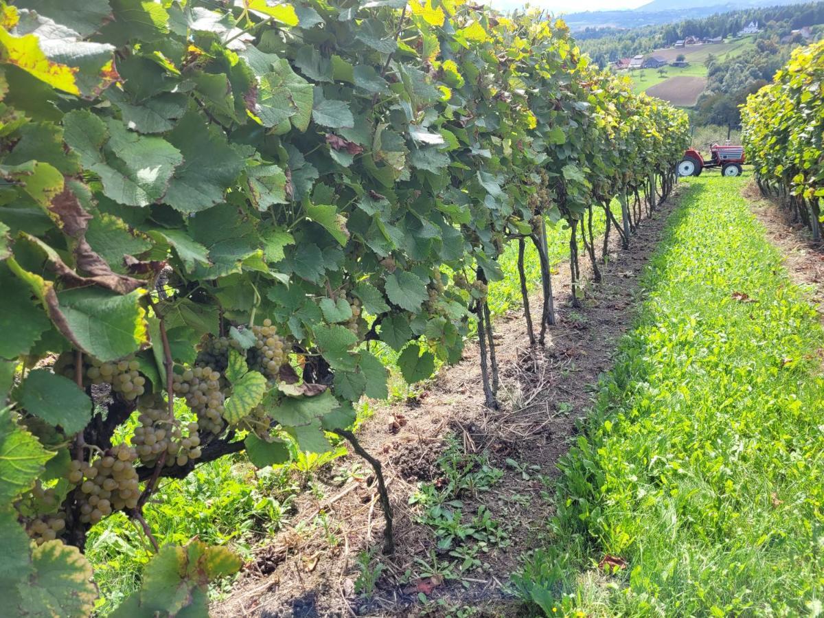 Fantastic View Vineyard Beskid Mountains Gruszow  Kültér fotó