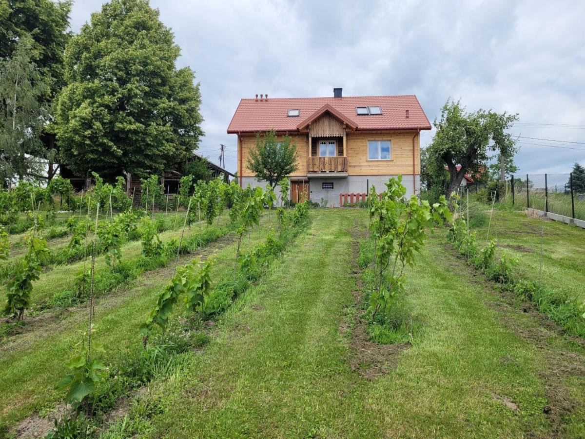 Fantastic View Vineyard Beskid Mountains Gruszow  Kültér fotó