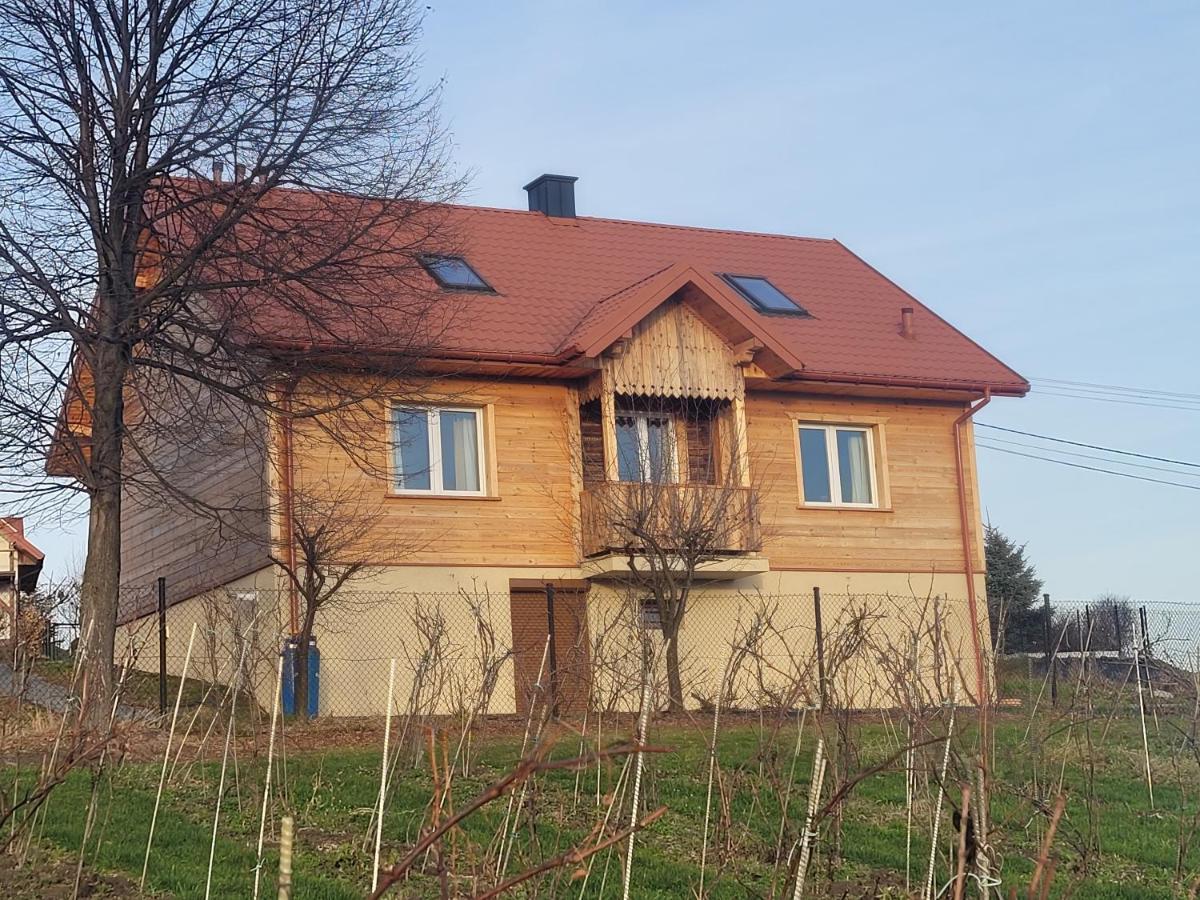 Fantastic View Vineyard Beskid Mountains Gruszow  Kültér fotó