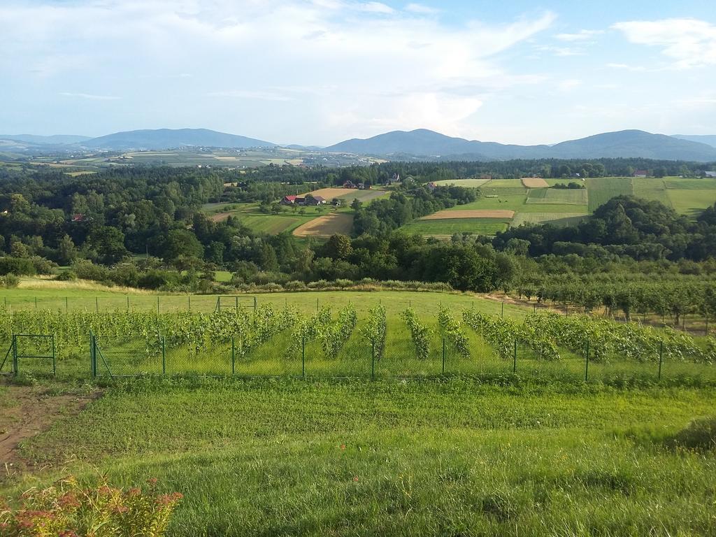 Fantastic View Vineyard Beskid Mountains Gruszow  Kültér fotó
