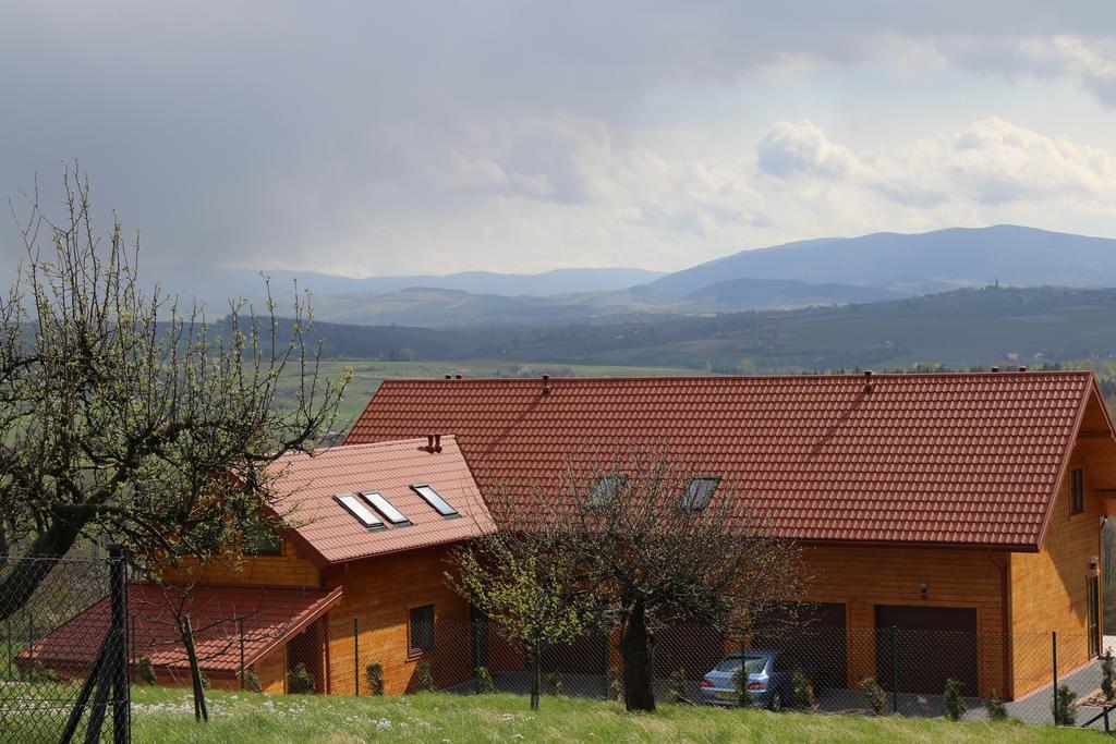 Fantastic View Vineyard Beskid Mountains Gruszow  Kültér fotó